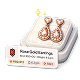 Rose Gold Earrings